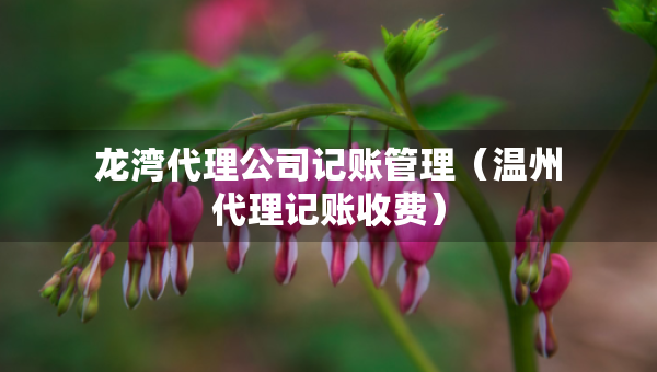 龍灣代理公司記賬管理（溫州代理記賬收費）