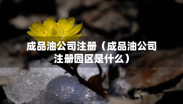 成品油公司注冊(cè)（成品油公司注冊(cè)園區(qū)是什么）