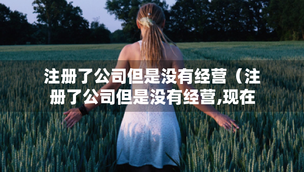 注冊了公司但是沒有經(jīng)營（注冊了公司但是沒有經(jīng)營,現(xiàn)在怎么注銷）