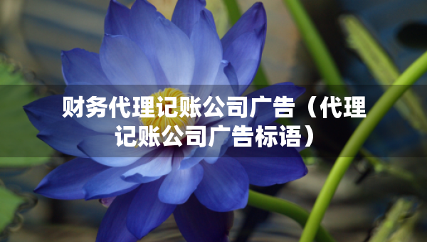 財務代理記賬公司廣告（代理記賬公司廣告標語）