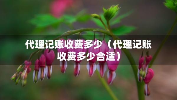 代理記賬收費(fèi)多少（代理記賬收費(fèi)多少合適）