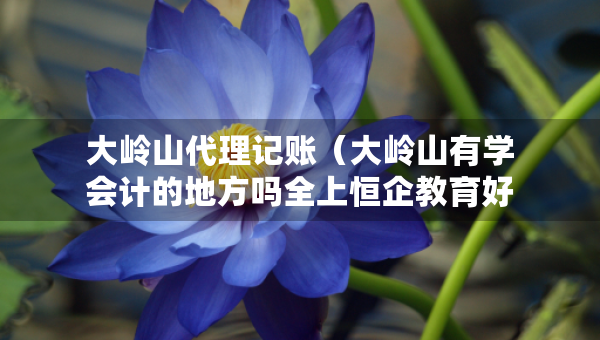 大嶺山代理記賬（大嶺山有學(xué)會計(jì)的地方嗎全上恒企教育好）