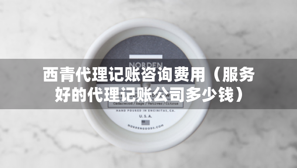 西青代理記賬咨詢費用（服務(wù)好的代理記賬公司多少錢）