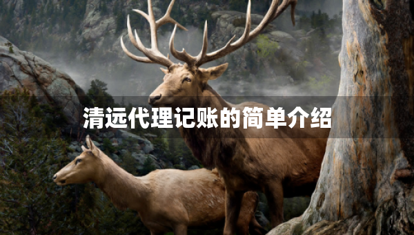 清遠(yuǎn)代理記賬的簡單介紹