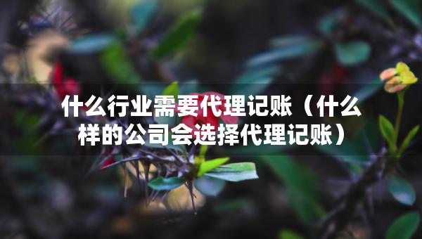 什么行業(yè)需要代理記賬（什么樣的公司會(huì)選擇代理記賬）