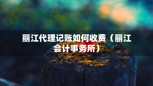 麗江代理記賬如何收費(fèi)（麗江會(huì)計(jì)事務(wù)所）