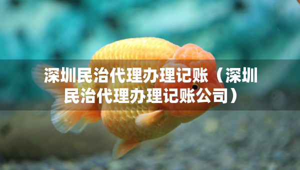 深圳民治代理辦理記賬（深圳民治代理辦理記賬公司）