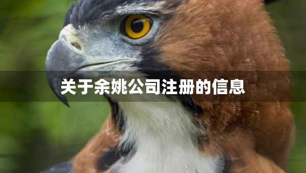 關(guān)于余姚公司注冊(cè)的信息