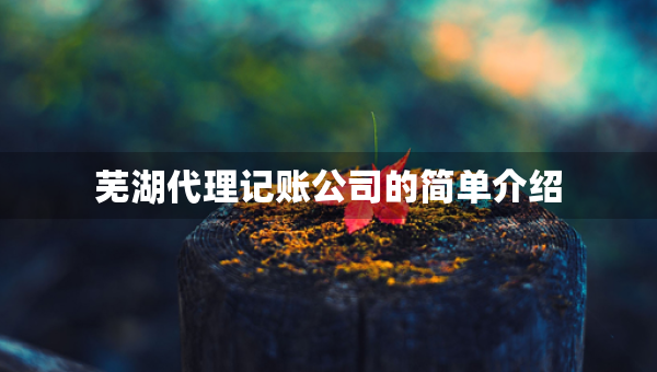 蕪湖代理記賬公司的簡單介紹