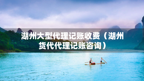 湖州大型代理記賬收費（湖州貨代代理記賬咨詢）