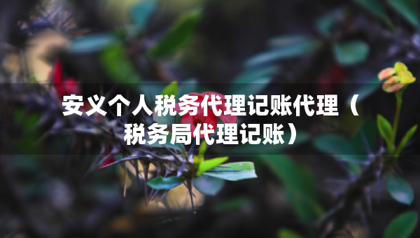 安義個人稅務代理記賬代理（稅務局代理記賬）