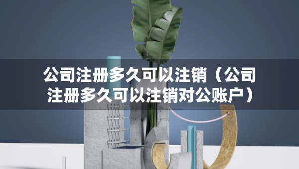 公司注冊多久可以注銷（公司注冊多久可以注銷對公賬戶）