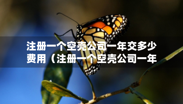 注冊(cè)一個(gè)空殼公司一年交多少費(fèi)用（注冊(cè)一個(gè)空殼公司一年交多少費(fèi)用 就選三合一財(cái)稅）