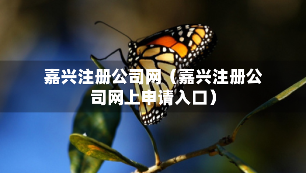 嘉興注冊(cè)公司網(wǎng)（嘉興注冊(cè)公司網(wǎng)上申請(qǐng)入口）