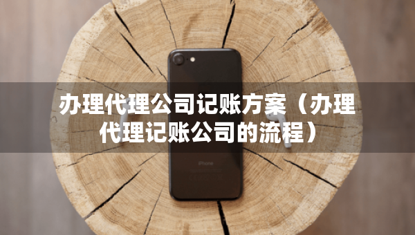 辦理代理公司記賬方案（辦理代理記賬公司的流程）