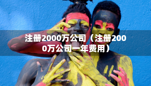 注冊2000萬公司（注冊2000萬公司一年費用）