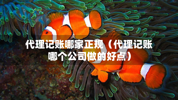 代理記賬哪家正規(guī)（代理記賬哪個(gè)公司做的好點(diǎn)）