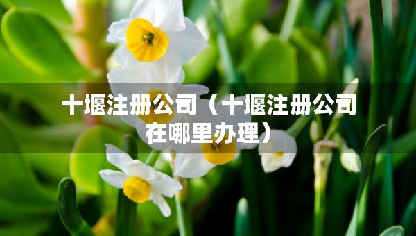 十堰注冊(cè)公司（十堰注冊(cè)公司在哪里辦理）