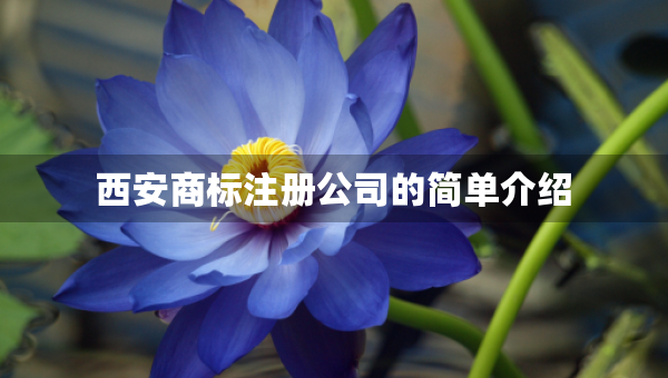 西安商標(biāo)注冊(cè)公司的簡(jiǎn)單介紹