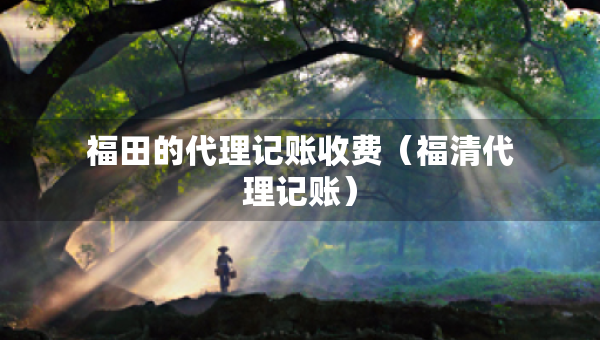 福田的代理記賬收費(fèi)（福清代理記賬）