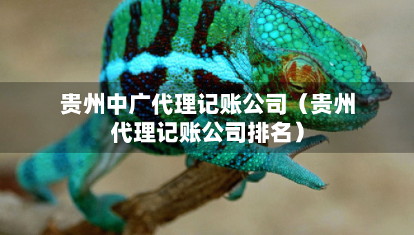 貴州中廣代理記賬公司（貴州代理記賬公司排名）