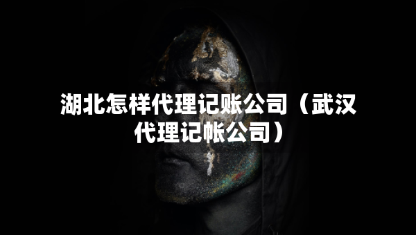 湖北怎樣代理記賬公司（武漢代理記帳公司）