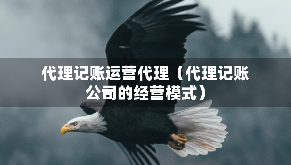 代理記賬運營代理（代理記賬公司的經(jīng)營模式）