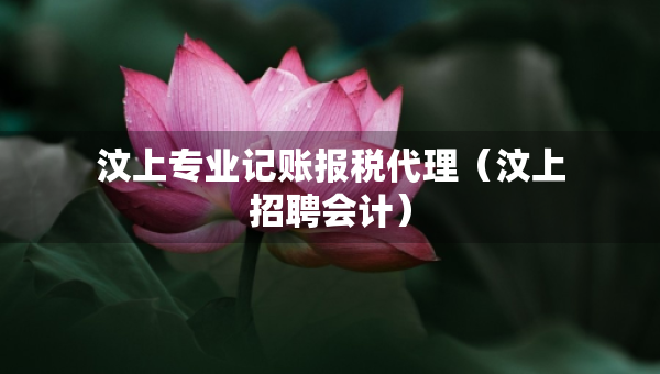 汶上專業(yè)記賬報稅代理（汶上招聘會計）