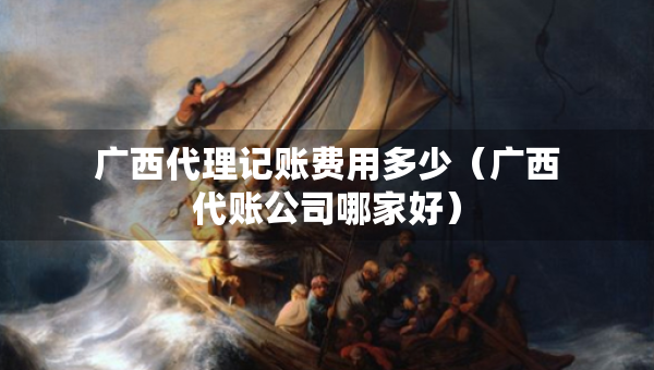 廣西代理記賬費用多少（廣西代賬公司哪家好）