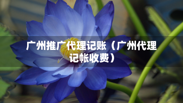 廣州推廣代理記賬（廣州代理記帳收費）