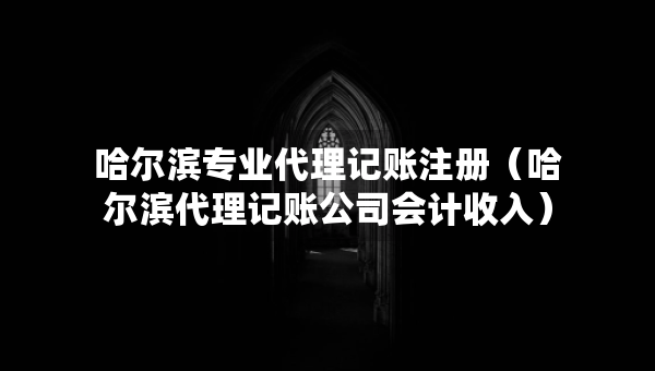 哈爾濱專業(yè)代理記賬注冊（哈爾濱代理記賬公司會計收入）