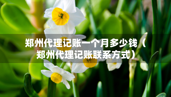 鄭州代理記賬一個(gè)月多少錢（鄭州代理記賬聯(lián)系方式）