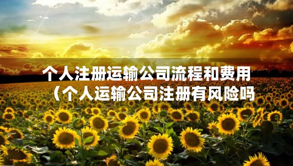 個(gè)人注冊(cè)運(yùn)輸公司流程和費(fèi)用（個(gè)人運(yùn)輸公司注冊(cè)有風(fēng)險(xiǎn)嗎）