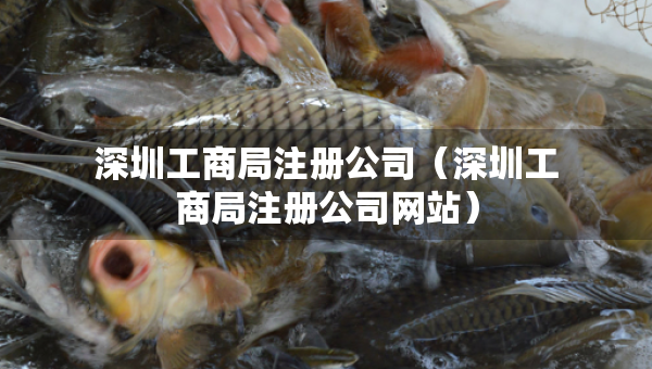 深圳工商局注冊公司（深圳工商局注冊公司網(wǎng)站）