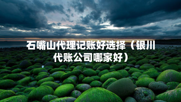 石嘴山代理記賬好選擇（銀川代賬公司哪家好）