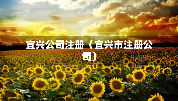 宜興公司注冊(cè)（宜興市注冊(cè)公司）