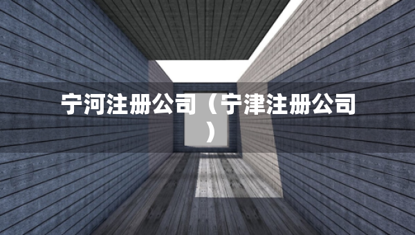 寧河注冊公司（寧津注冊公司）