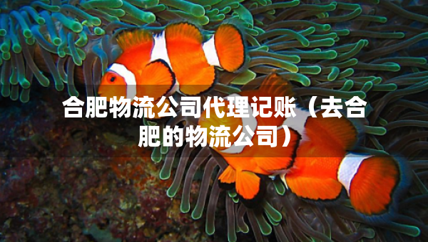 合肥物流公司代理記賬（去合肥的物流公司）