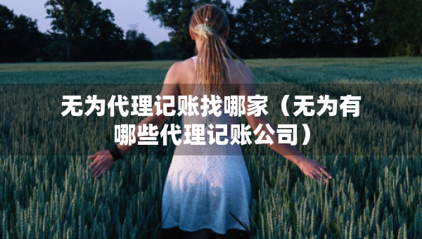 無(wú)為代理記賬找哪家（無(wú)為有哪些代理記賬公司）