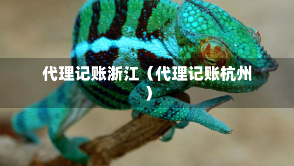 代理記賬浙江（代理記賬杭州）