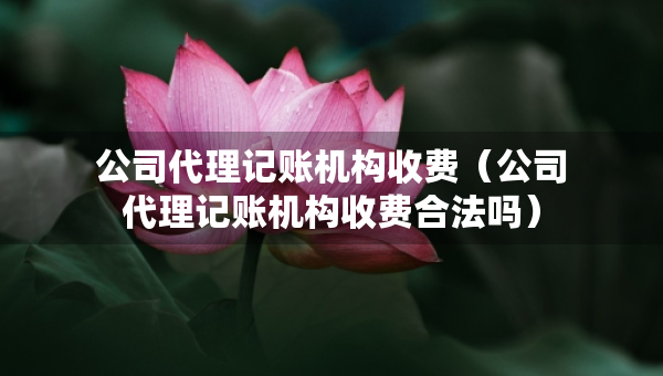 公司代理記賬機(jī)構(gòu)收費(fèi)（公司代理記賬機(jī)構(gòu)收費(fèi)合法嗎）