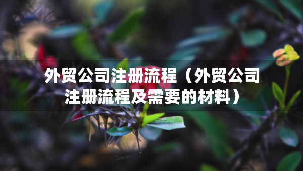 外貿(mào)公司注冊流程（外貿(mào)公司注冊流程及需要的材料）