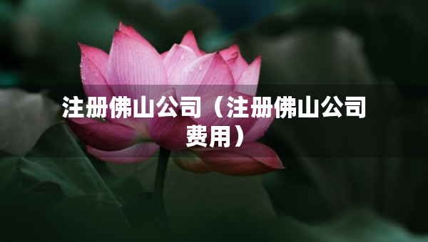注冊(cè)佛山公司（注冊(cè)佛山公司費(fèi)用）