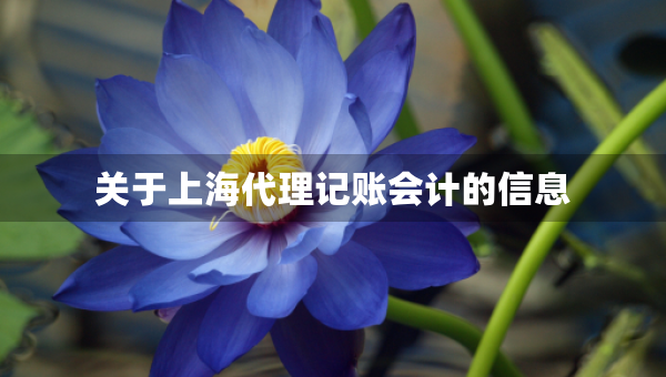 關(guān)于上海代理記賬會計的信息