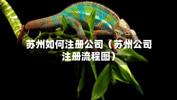 蘇州如何注冊公司（蘇州公司注冊流程圖）