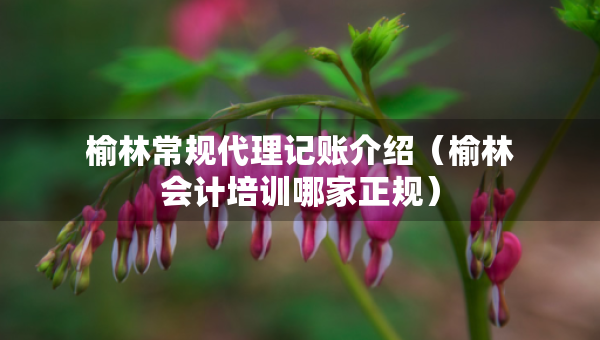 榆林常規(guī)代理記賬介紹（榆林會計培訓哪家正規(guī)）