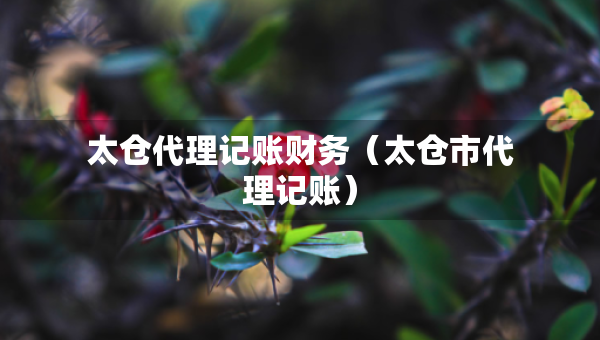 太倉(cāng)代理記賬財(cái)務(wù)（太倉(cāng)市代理記賬）