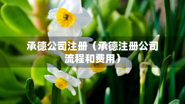 承德公司注冊(cè)（承德注冊(cè)公司流程和費(fèi)用）