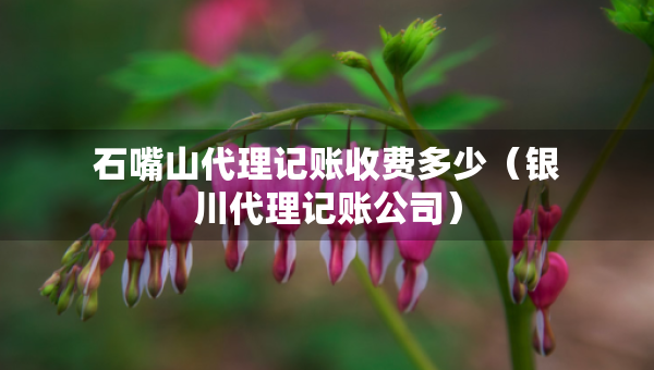 石嘴山代理記賬收費多少（銀川代理記賬公司）