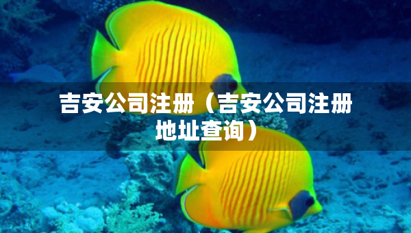 吉安公司注冊（吉安公司注冊地址查詢）